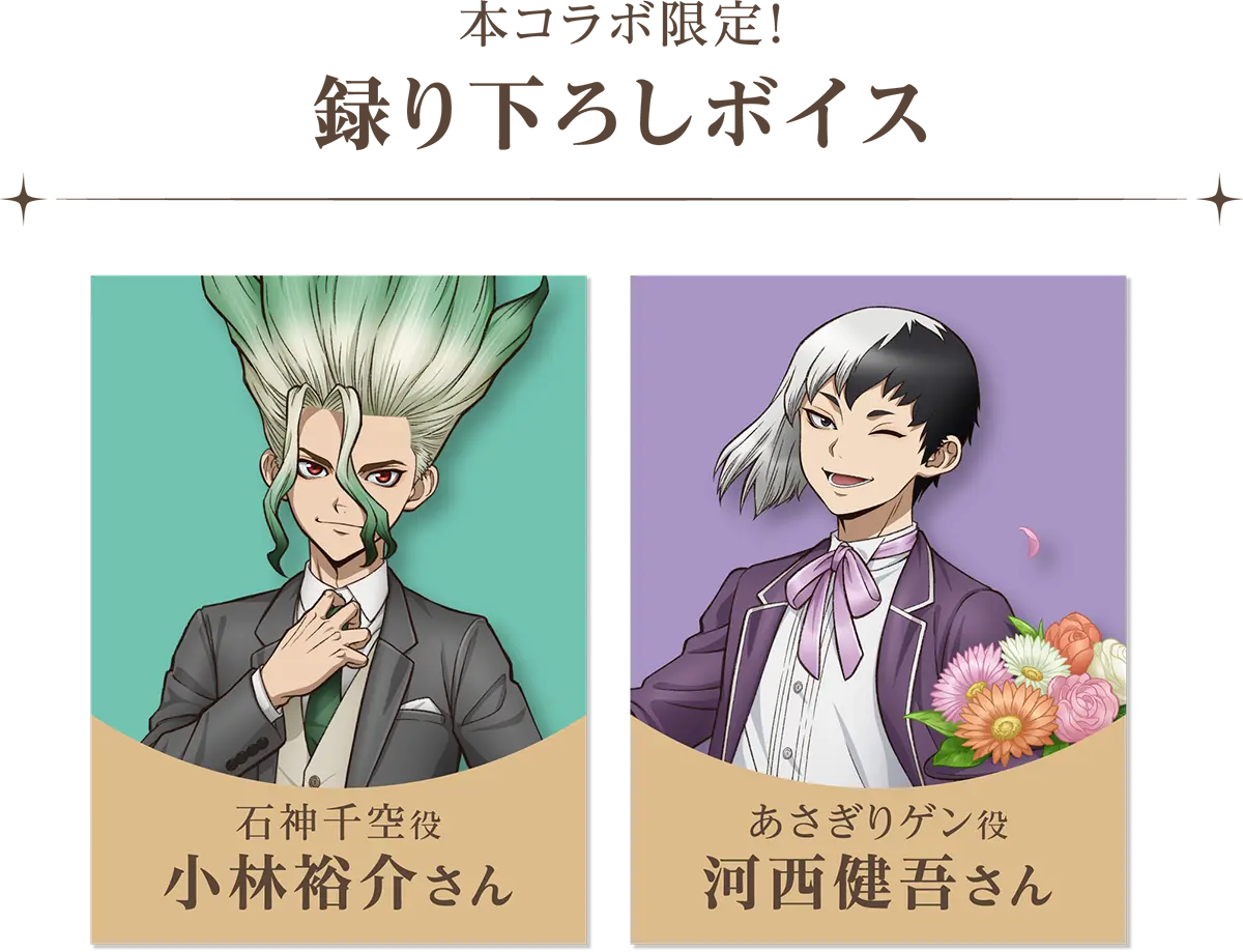 Dr.STONE イベント来場者特典スペシャル小冊子＆ドラゴ TVアニメ『Dr.STONE』 ×オンザページ コラボレーションイベント 2026.9