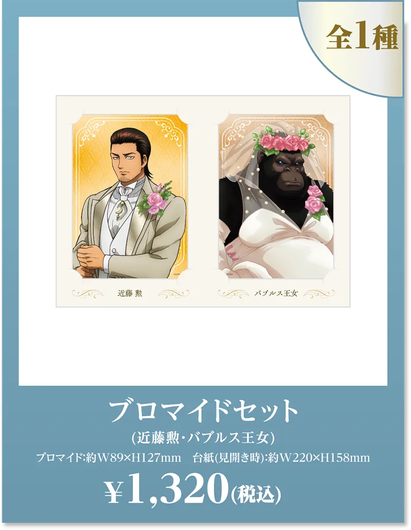 全1種 近藤勲 バブルス王 ブロマイドセット(近藤勲・バブルス王女) ブロマイド:約W89xH127mm 台紙(見開き時):約W220xH158mm¥1,320(税込)