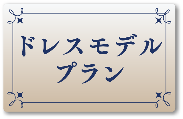 ドレスモデルプラン