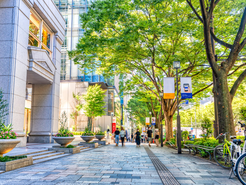 表参道の風景
